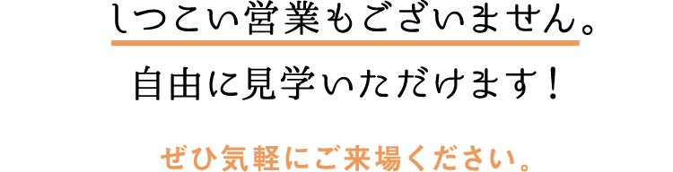 2LDK+T×29坪｜ちょうどいい平屋 見学会